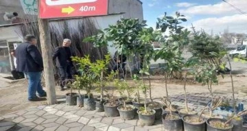 Malazgirt’te fidan satışları başladı