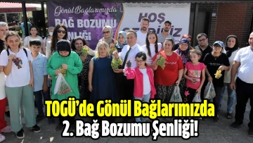 TOGÜ’de Gönül Bağlarımızda 2. Bağ Bozumu Şenliği yapıldı! 