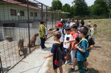 Öğrencilerden can dostlara ziyaret
