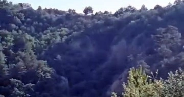 Ormanda yürüyüş yaparken 200 metrelik uçuruma düştü