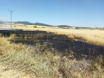 Sinop’ta buğday tarlasında yangın
