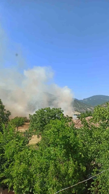 Sinop’ta tarım arazisinde yangın
