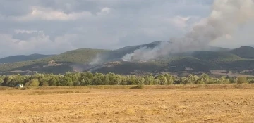 Tokat’ta 20 dönüm ormanlık alan kül oldu
