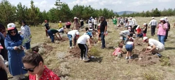 Vatandaşlar hem fidan dikti hem de eğlendi
