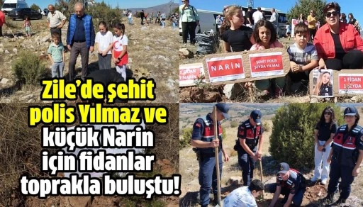 Zile’de şehit polis Yılmaz ve küçük Narin için fidanlar toprakla buluştu